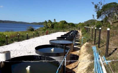 MS poderá ficar entre os cinco maiores produtores de peixe do Brasil