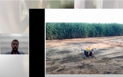 Tecnologia no canavial: benefícios do uso de drone na aplicação da cotesia