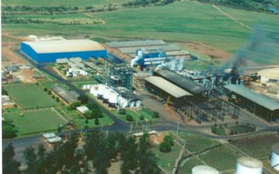 BP Bunge Bioenergia quer mais cana de fornecedores. Confira as razões