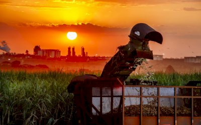 Atvos divulga Relatório Anual da Safra 2020/2021