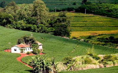 Inmet lança aplicativo sobre previsão do tempo para produtor rural