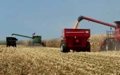 Entidades do agronegócio publicam manifesto em defesa do Estado Democrático de Direito