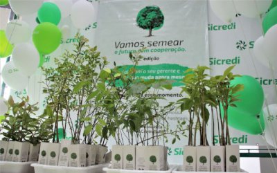 Sicredi Centro-Sul MS distribui mudas em comemoração ao Dia da Árvore