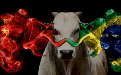 CHINA “RECUSA” A CARNE DO BRASIL E LIGA SINAL VERMELHO