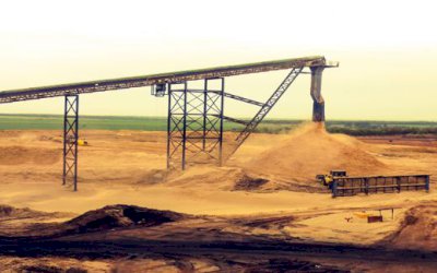 Biomassa da cana ganha força como fonte de energia alternativa