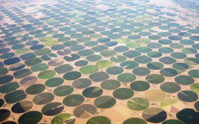 ARÁBIA SAUDITA MOSTRA QUE NÃO EXISTE LIMITES PARA AGRICULTURA