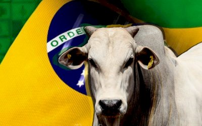 Comunismo - China compra 60% da carne brasileira.