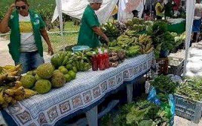 Agricultura familiar abastece mais de 70% da população de Pernambuco