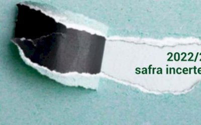 Próximos meses serão de grande tensão e expectativa para definição do início da safra canavieira 2022/23 na região Centro-Sul