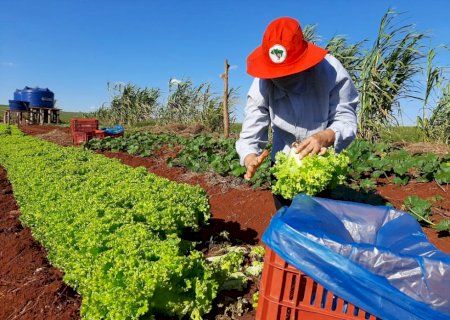Dourados já está cadastrado no Programa Nacional de Crédito Fundiário