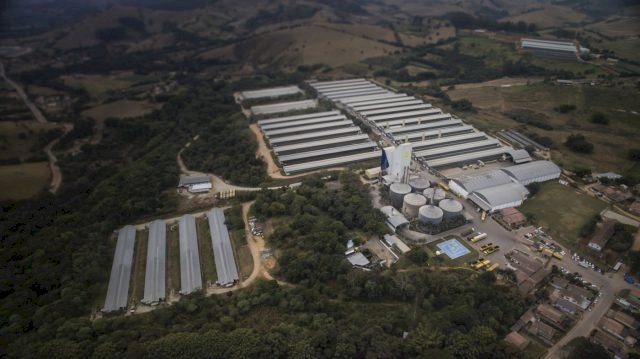 REI DO OVO: CONHEÇA A MAIOR GRANJA DE OVOS DA AMÉRICA LATINA