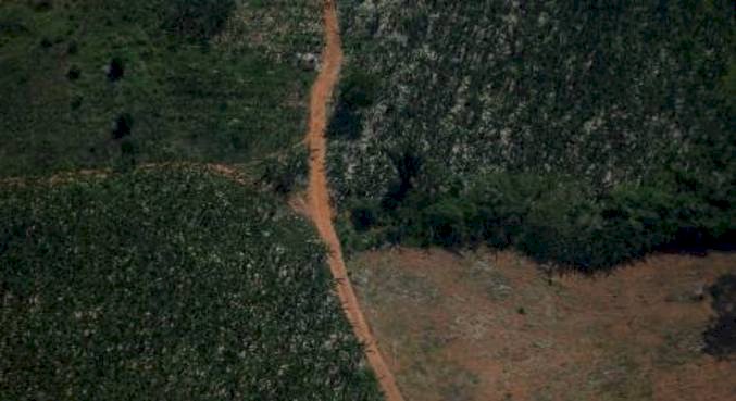 Desmatamento da Amazônia cresce 29% em 2021; é o maior em 10 anos