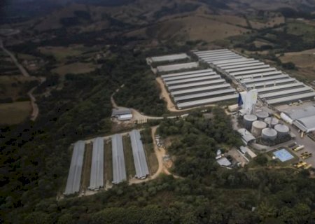 REI DO OVO: CONHEÇA A MAIOR GRANJA DE OVOS DA AMÉRICA LATINA