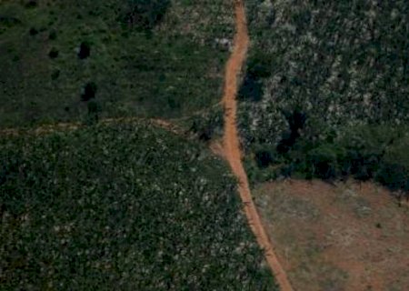 Desmatamento da Amazônia cresce 29% em 2021; é o maior em 10 anos