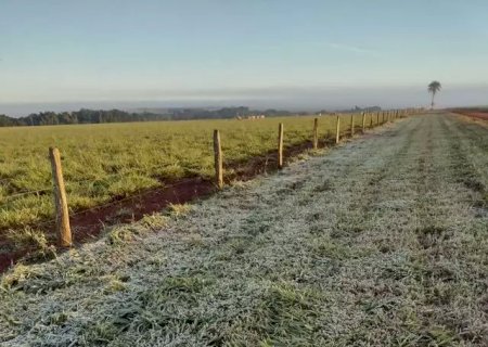 MS tem mínima de 1,6 grau e geada atinge 12 municípios.