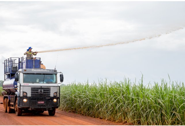 Atvos reforça atuação contra incêndios em Mato Grosso do Sul com estrutura de combate e conscientização da população.
