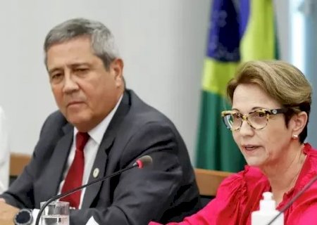 Por que Braga Netto balança e Tereza Cristina surge como a vice ideal para Bolsonaro