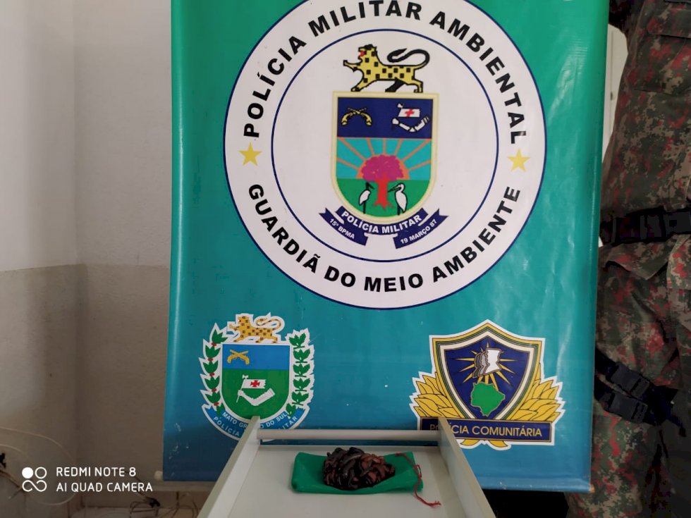 PMA de Miranda autua comerciante em R$ 6 mil por comércio ilegal de minhocoçus e orienta que para lei minhoca é animal silvestre como qualquer outro e seu uso necessita licença