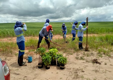 Atvos reforça ações de prevenção de incêndios e restauração florestal