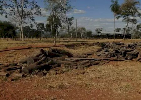Em um ano, desmatamento cresce 15% no Pantanal; nos Cerrados o índice é de 20%.