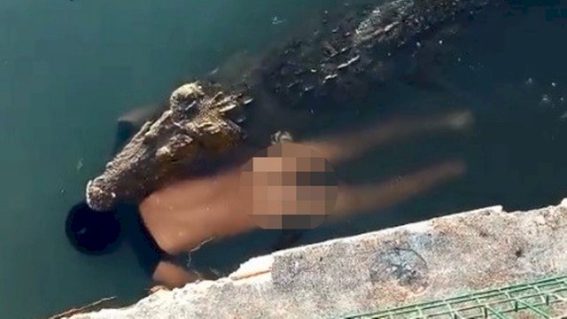 Crocodilo de 3,5 metros mata homem que nadava em lago, no México; veja vídeo