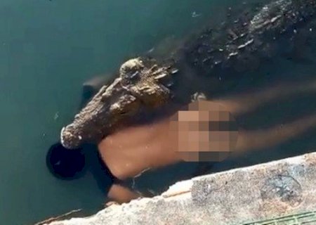 Crocodilo de 3,5 metros mata homem que nadava em lago, no México; veja vídeo