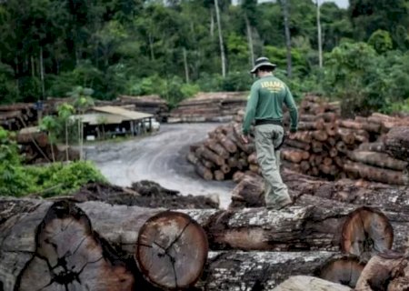 Ato do governo Bolsonaro deve anular até R$ 16 bilhões em multas ambientais.