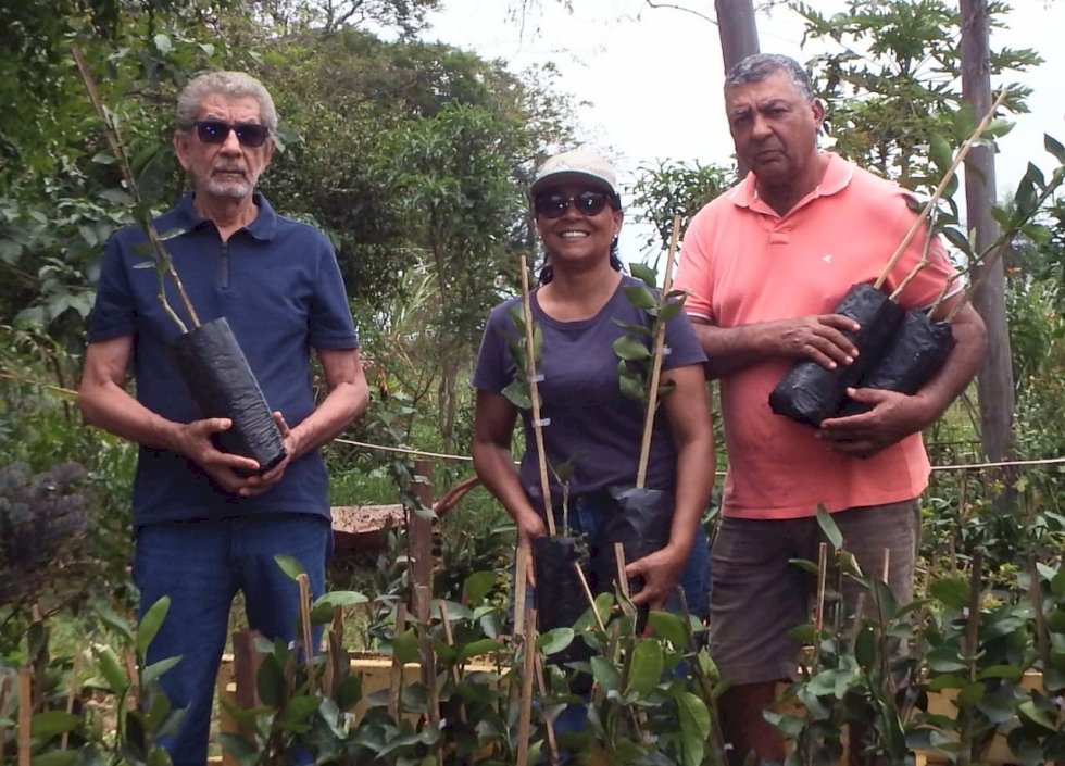 Ivinhema - Agraer estimula a produção de pomares domésticos.
