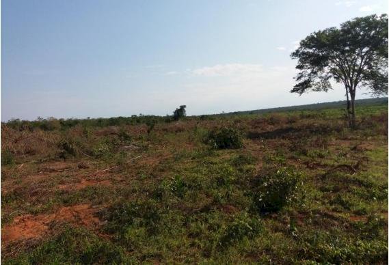 Quatro pessoas são indiciadas por fraude na aquisição e venda de lotes destinados à reforma agrária em MT