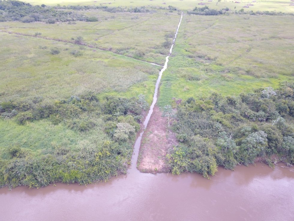 PMA de Batayporã autua empresa paulistana em R$ 13 mil por degradação de matas ciliares do rio Ivinhema e por limpeza irregular de drenos.
