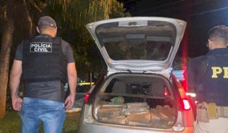Nova Andradina - PRF e PC apreendem 400 Kg de maconha e skunk .