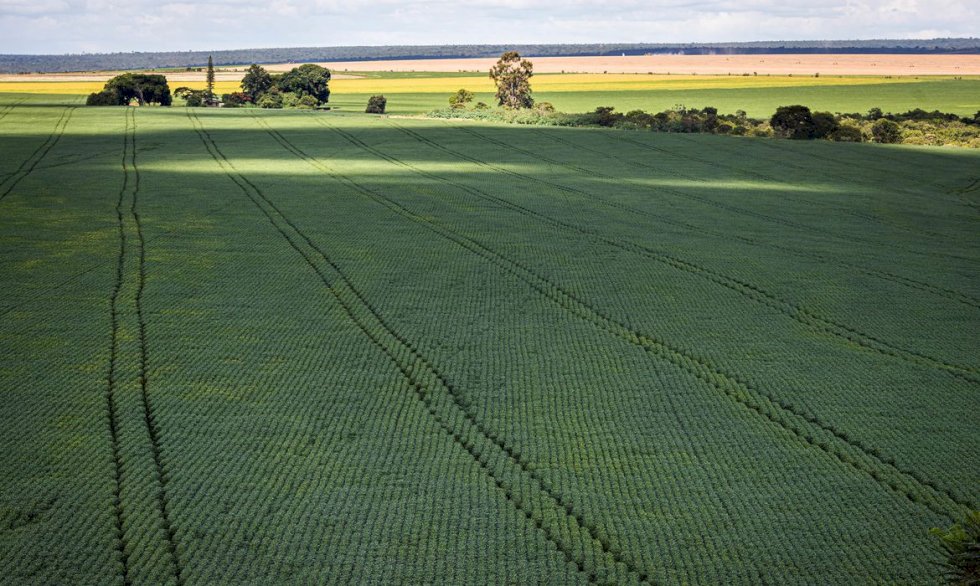 Estudo aponta desafios do seguro rural em meio a mudanças climáticas.
