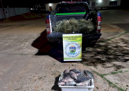 PMA de Três Lagoas e Batayporã apreendem 1.050 metros de redes em três rios, soltam 56 peixes.