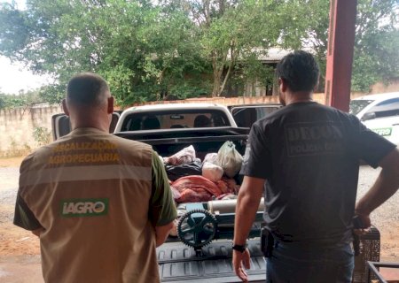 Polícia Civil e IAGRO realizam fiscalização em Caracol e apreendem 725kg de carne imprópria para o consumo