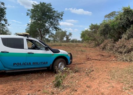 PMA de Batayporã autua comerciante em R$ 30 mil por derrubada de árvores de grande porte em área protegida.