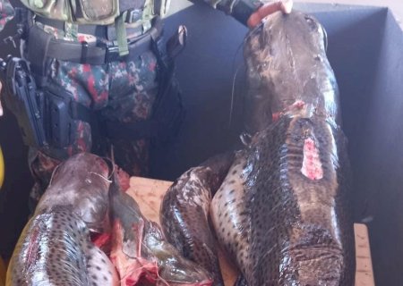 PMA prende e autua homem por pesca predatória
