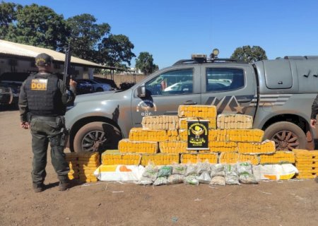 DOF apreende carro carregado com drogas.