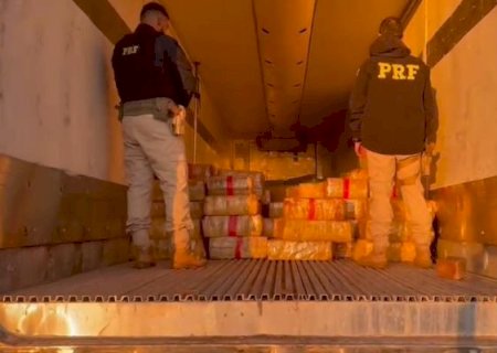 Douradense é preso pela PRF com quase 15 toneladas de maconha em carreta.
