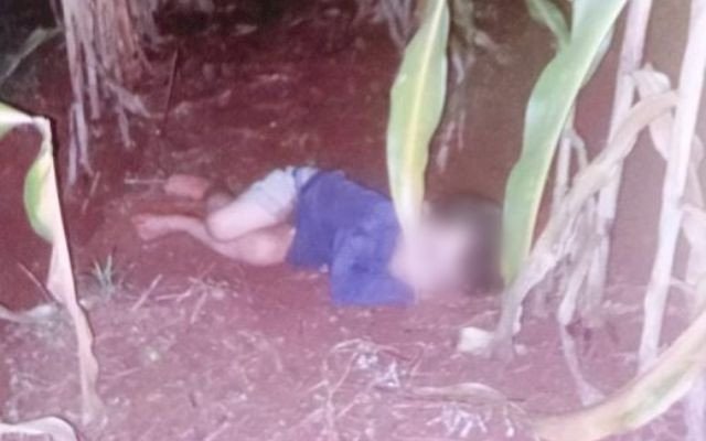 Criança de 2 anos ‘some’ e é encontrada dormindo em milharal