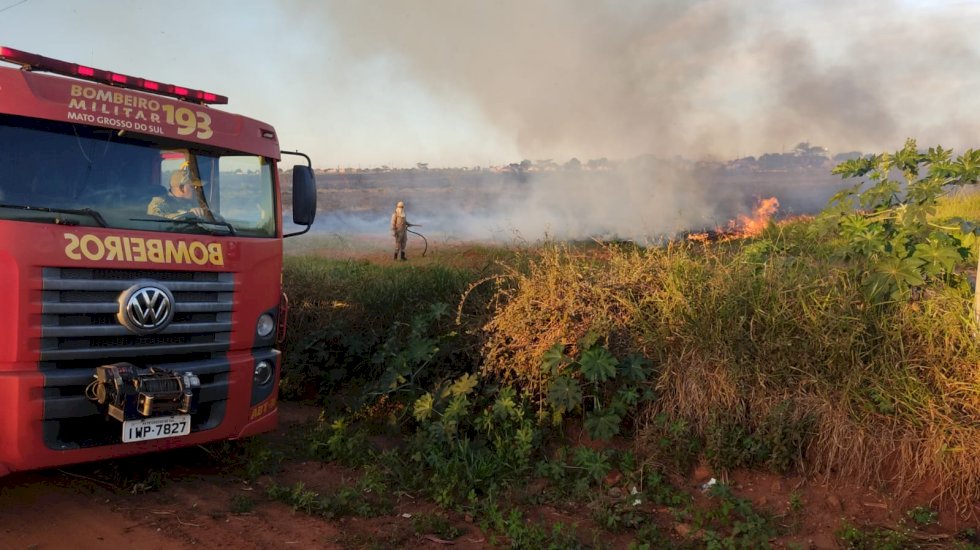 Ivinhema - Bombeiros combate fogo em vegetação.