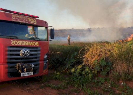 Ivinhema - Bombeiros combate fogo em vegetação.