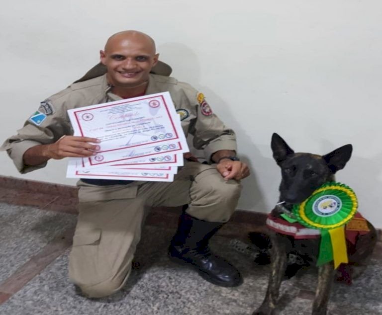 Taquarussu - Cadela farejadora Laika irá ajudar na busca da jovem desaparecida.