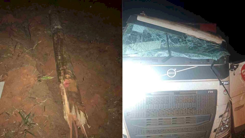 Motorista morre após ser atingido por tronco de eucalipto que se soltou de caminhão na BR-262