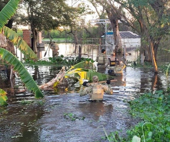 PF combate a caça ilegal de onça-pintada no Pantanal