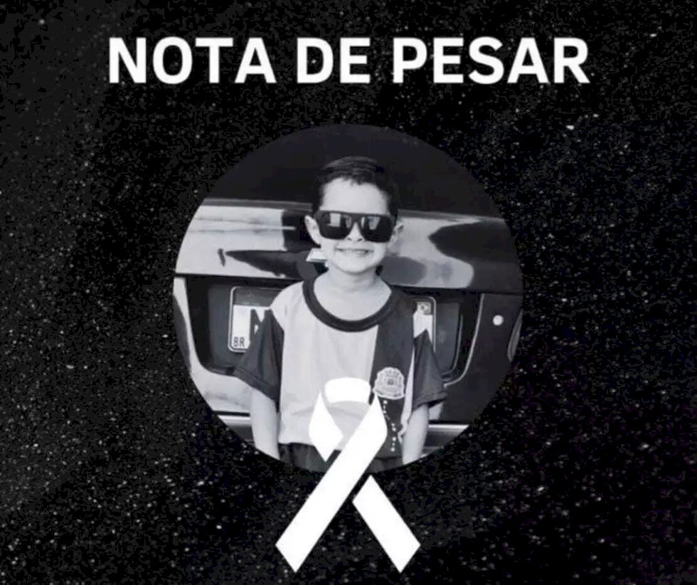 Menino de 5 anos morre após ser picado por escorpião.