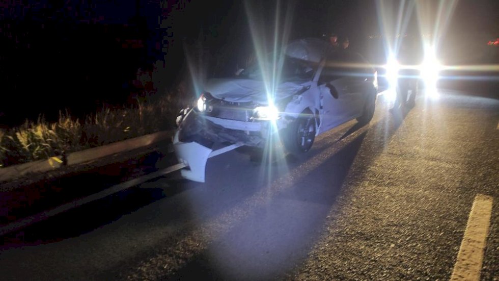 Vaca solta na rodovia causa acidente na MS-395.