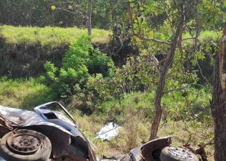 Motorista morre após carro bater em árvore nas margens da BR-262.