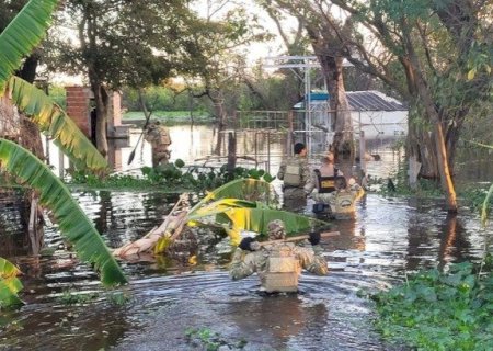 PF combate a caça ilegal de onça-pintada no Pantanal