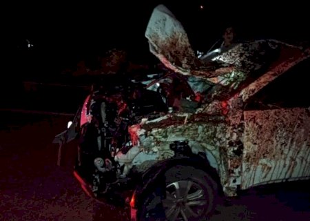 Veículo fica destruído ao bater em cavalo que morreu na hora entre Deodápolis e Glória de Dourados.