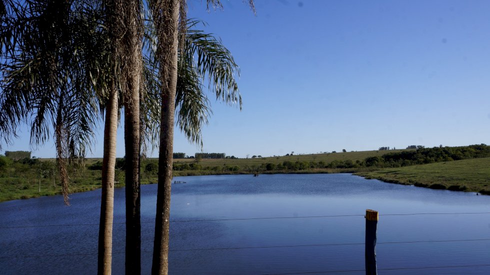 Nesta segunda-feira a temperatura pode atingir até 43°C em algumas regiões do estado.